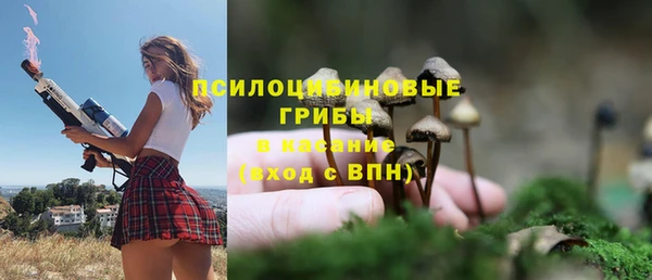 мяу мяу мука Волоколамск