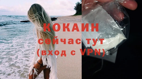 мяу мяу мука Волоколамск