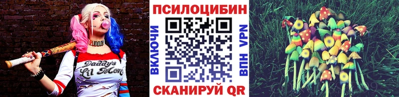 Купить закладки  Нижнеудинск  Псилоцибиновые грибы мухоморы 